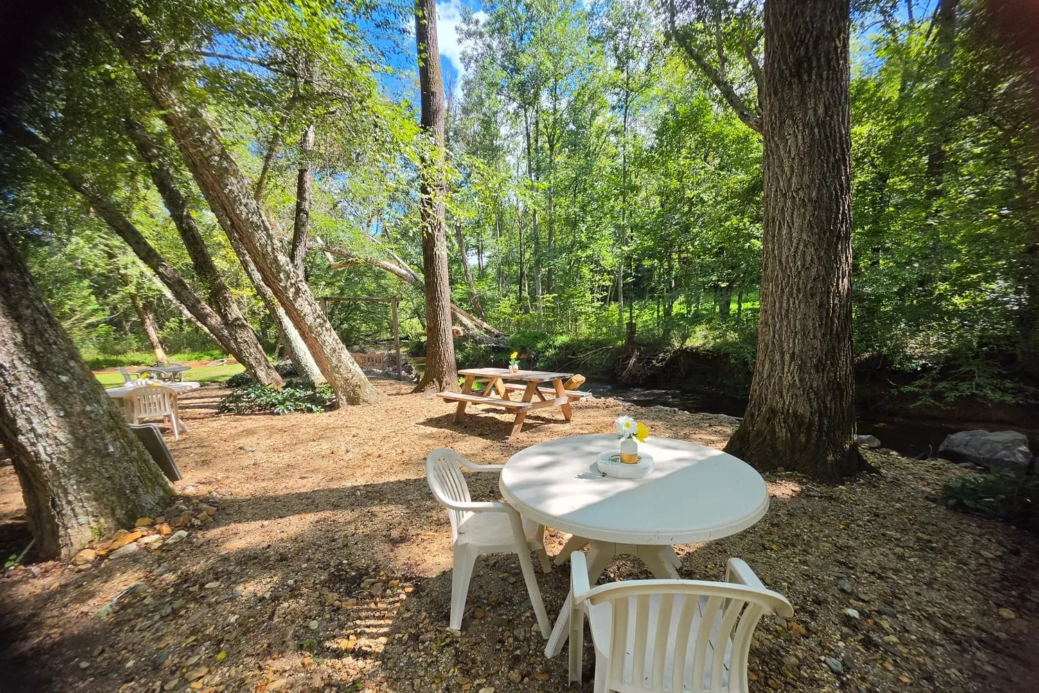 Tables and a picnic table under tall trees by the creek